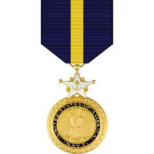 Navy Distinguished Service Member Medal